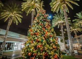 Miami Beach Calls All Snowbirds to Enjoy a Tropical Getaway This Holiday Season Miami Beach Christmas | I-75 Exit Guide