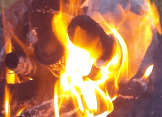 Lake Panasoffkee KOA – Lake Panasoffkee, FL lake-panasoffkee-koa-–-lake-panasoffkee,-fl