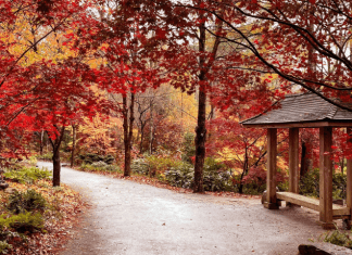 Gibbs Gardens | I-75 Exit Guide