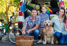 Your How-To Guide for a Stress-Free Thanksgiving Drive on I-75 Family Road Trip