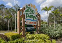 ZooTampa at Lowry Park – Tampa, FL ZooTampa at Lowry Park | I-75 Exit Guide