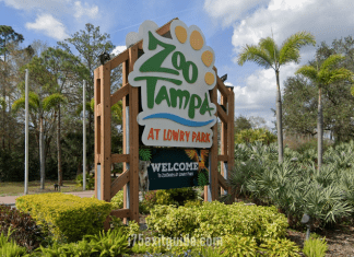 ZooTampa at Lowry Park | I-75 Exit Guide