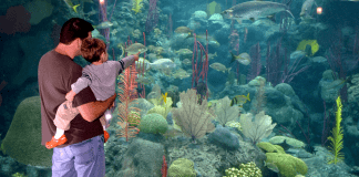 Florida Aquarium - Tampa, Florida | I-75 Exit Guide