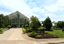Krohn Conservatory – Cincinnati, OH Krohn Conservatory | I-75 Exit Guide