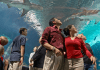 Newport Aquarium – Newport, KY Newport Aquarium | I-75 Exit Guide