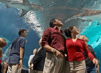 Newport Aquarium – Newport, KY Newport Aquarium | I-75 Exit Guide