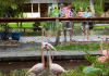 Wonder Gardens – Bonita Springs, FL Wonder Gardens - Bonita Springs, Florida | I-75 Exit Guide