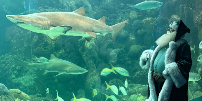 Florida Aquarium | I-75 Exit Guide