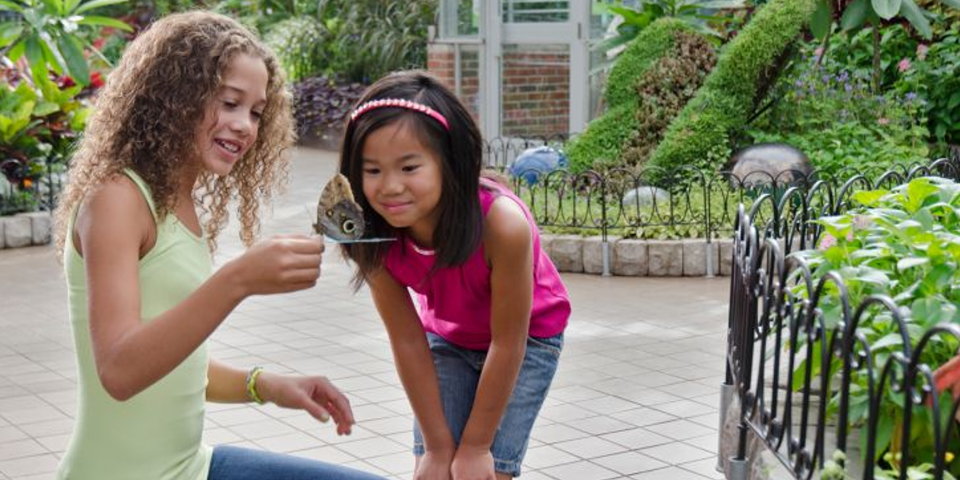 Krohn Conservatory | I-75 Exit Guide