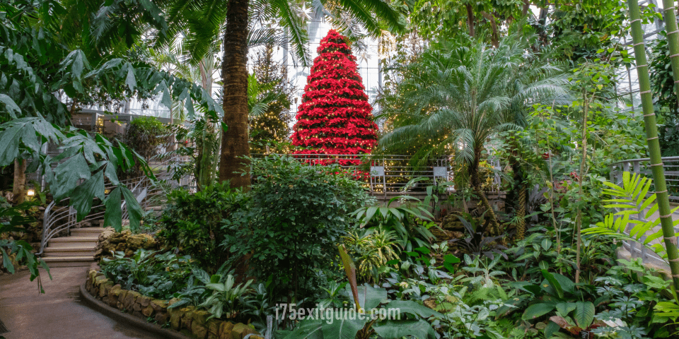Krohn Conservatory | I-75 Exit Guide