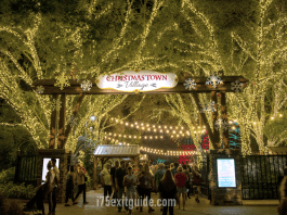 Busch Gardens | I-75 Exit Guide