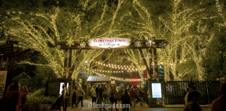 Busch Gardens | I-75 Exit Guide