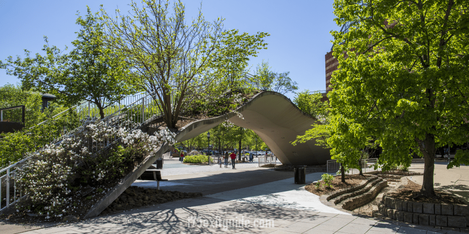 The Tennessee Aquarium | I-75 Exit Guide