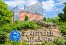 The Tennessee Aquarium | I-75 Exit Guide