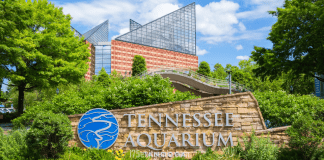The Tennessee Aquarium | I-75 Exit Guide