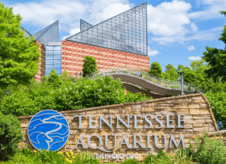 The Tennessee Aquarium | I-75 Exit Guide