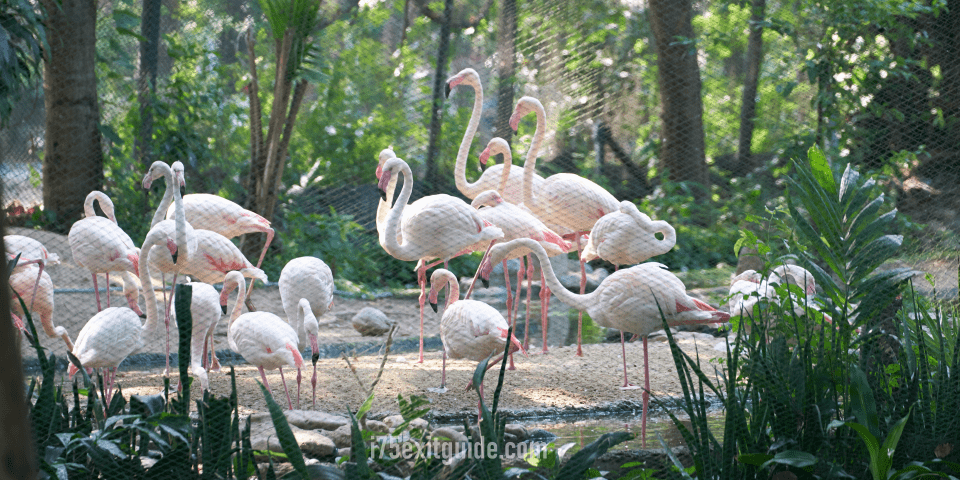 Naples Zoo at Caribbean Gardens | I-75 Exit Guide