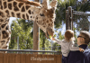 Naples Zoo at Caribbean Gardens – Naples, FL Naples Zoo at Caribbean Gardens | I-75 Exit Guide
