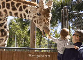 Naples Zoo at Caribbean Gardens – Naples, FL Naples Zoo at Caribbean Gardens | I-75 Exit Guide