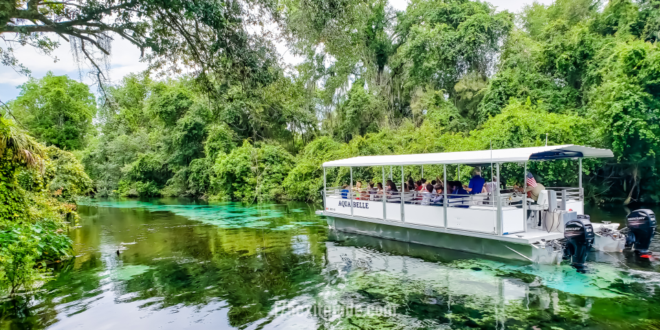 Weeki Wachee Springs | I-75 Exit Guide